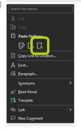 Word Styles Paste text Only