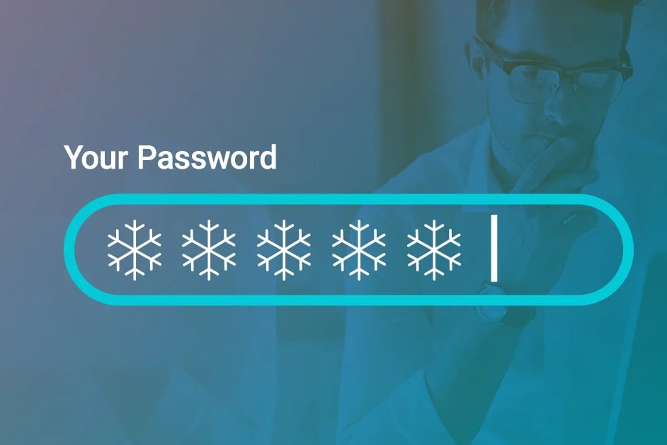 Password hidden by snowflakes